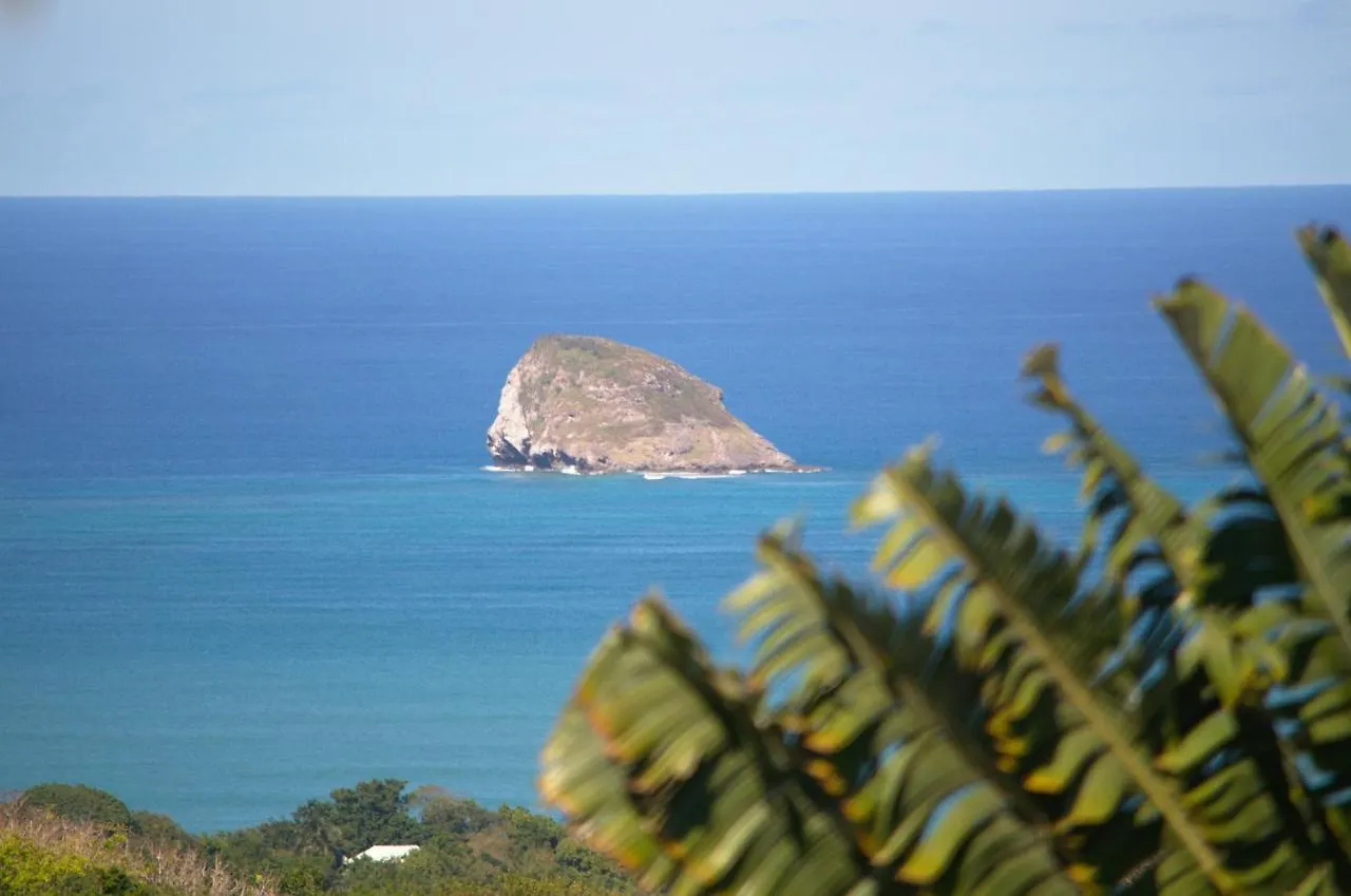 Case Oiseaux De Paradis Avec Piscine Sainte-Rose 0*,  Guadeloupe