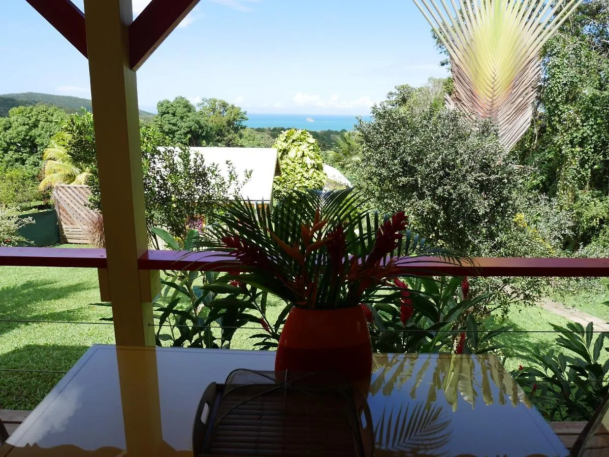 Case Oiseaux De Paradis Avec Piscine Sainte-Rose Holiday home