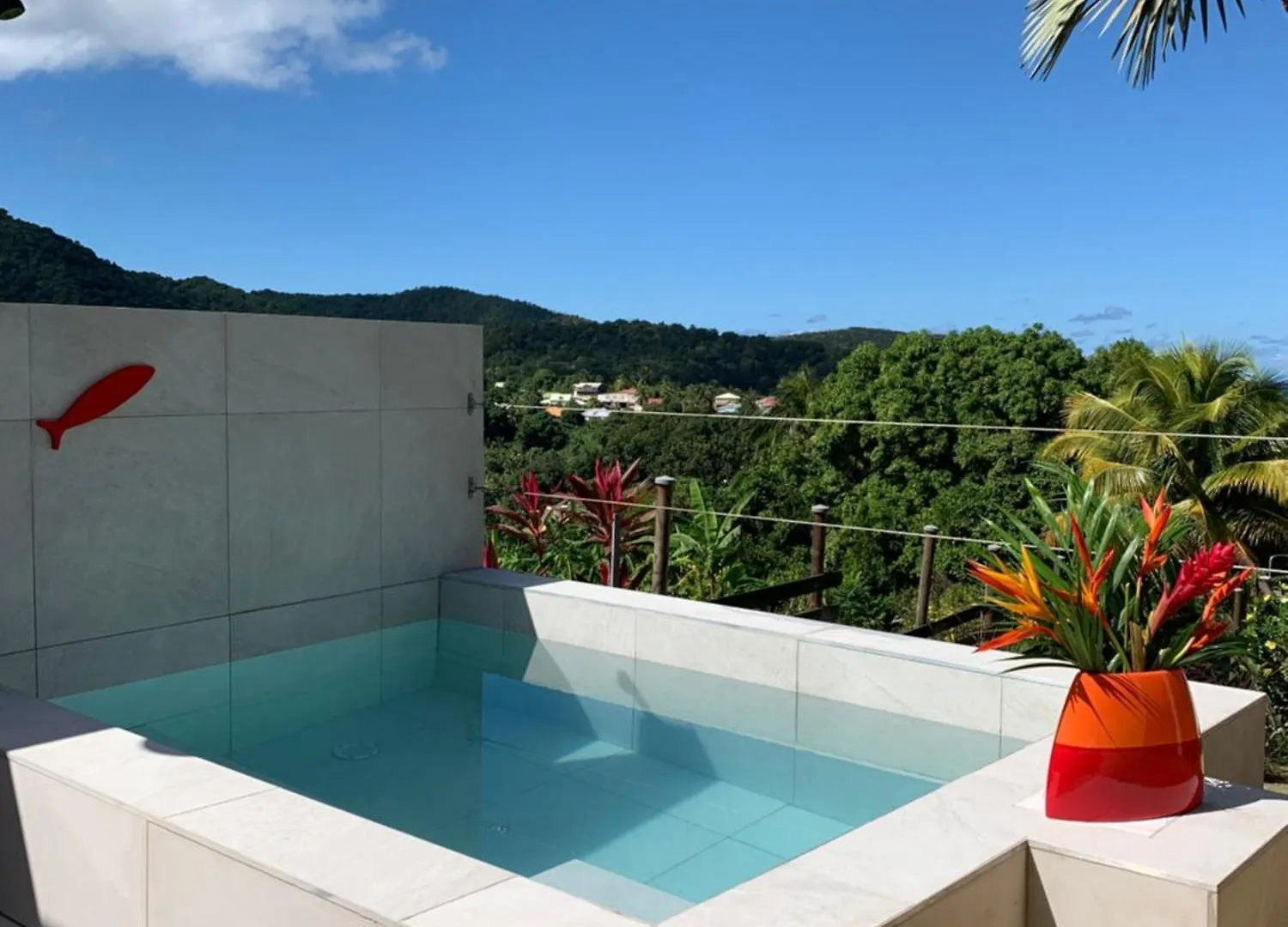 Case Oiseaux De Paradis Avec Piscine Sainte-Rose